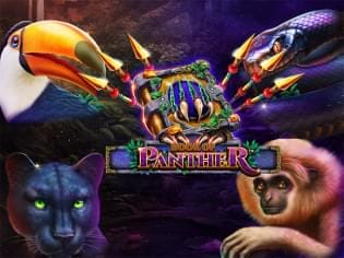 Book of Panther thumbnail